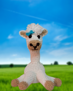 Dolly Llama